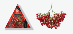 MASTRONARDI-SUNSET-TOMATO